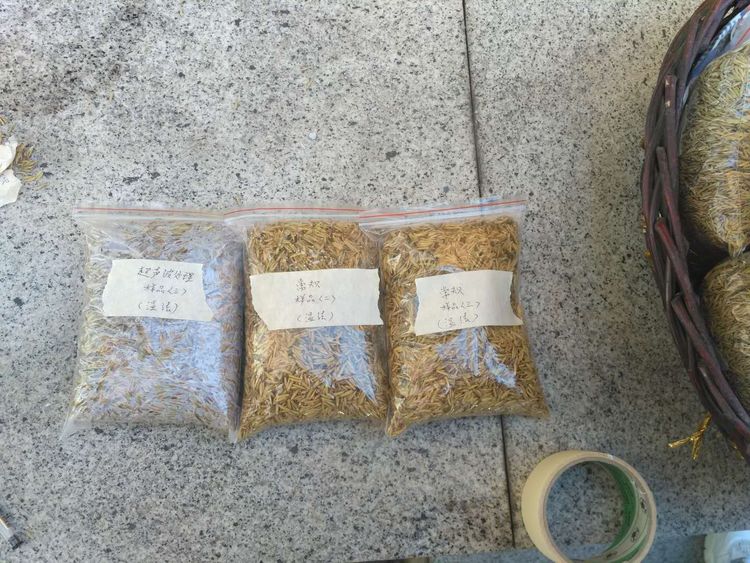 “超聲波處理對稻谷表面微生物的影響”發表論文啦！！