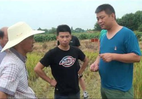 湘陰基地超聲水稻實測對比現場